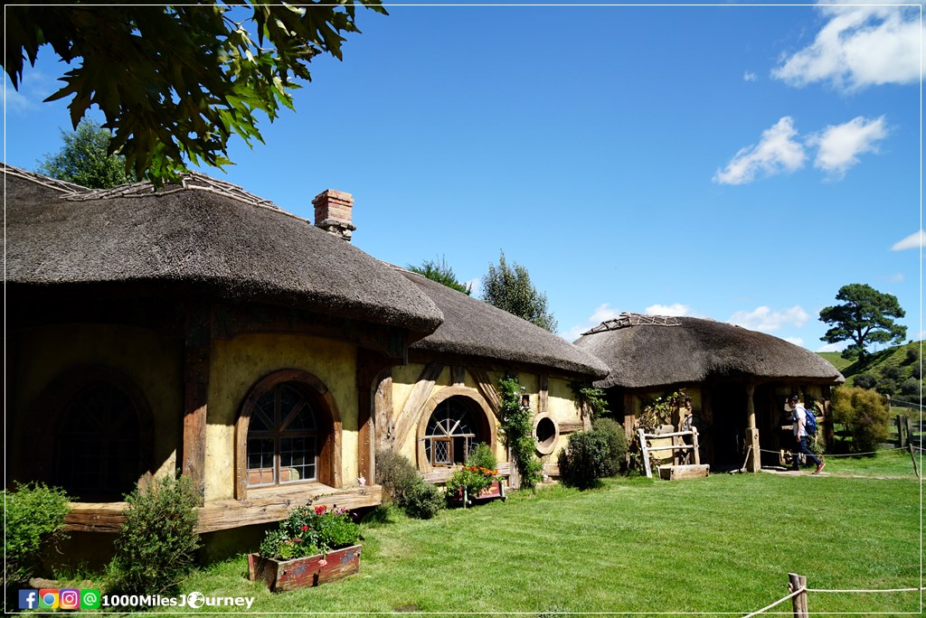 Hobbiton Movie Set @ New Zealand