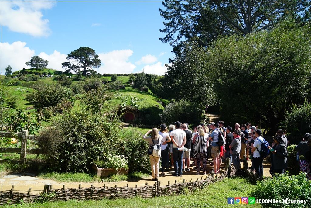 Hobbiton Movie Set @ New Zealand