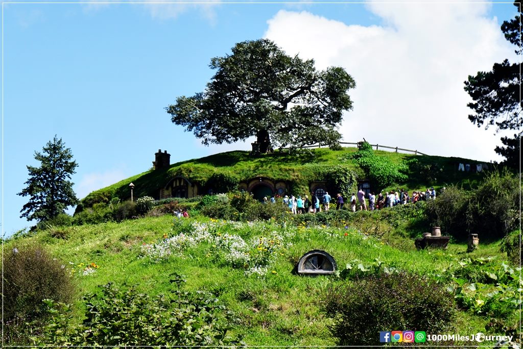 Hobbiton Movie Set @ New Zealand