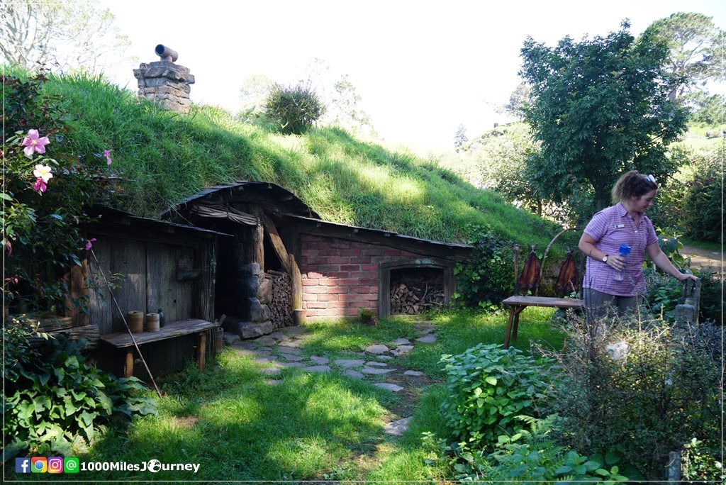 Hobbiton Movie Set @ New Zealand