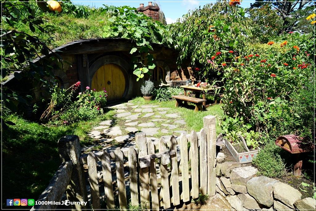 Hobbiton Movie Set @ New Zealand