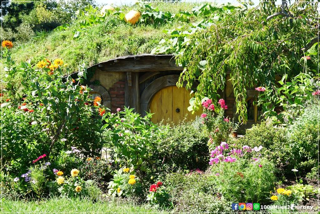 Hobbiton Movie Set @ New Zealand