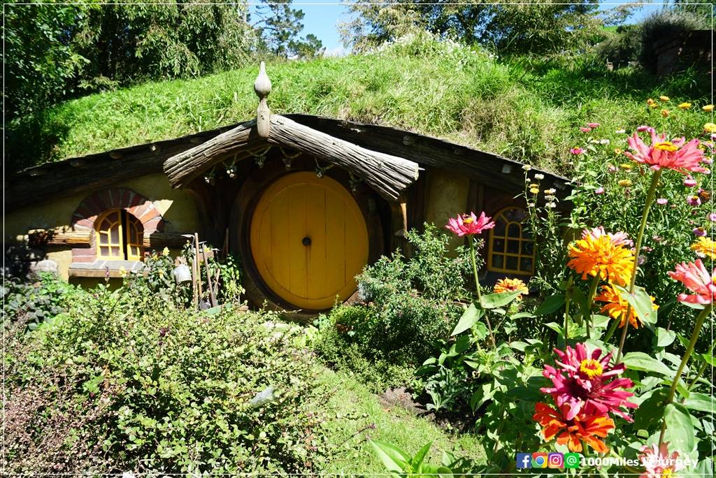 Hobbiton Movie Set @ New Zealand