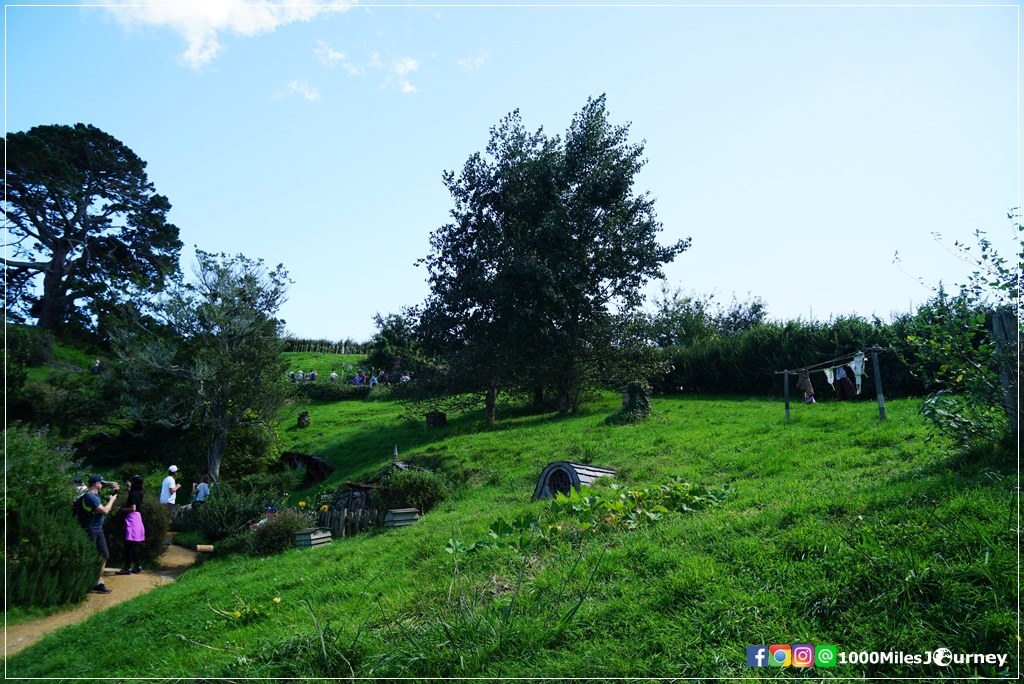 Hobbiton Movie Set @ New Zealand