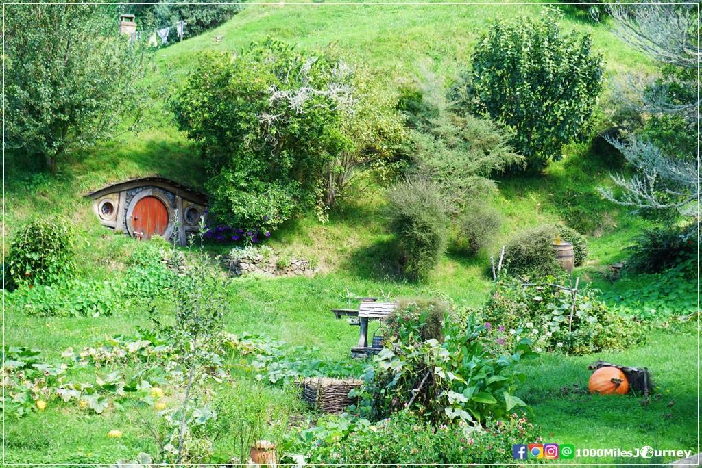 Hobbiton Movie Set @ New Zealand