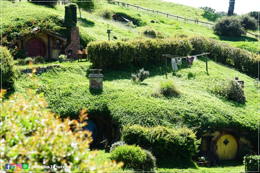 Hobbiton Movie Set @ New Zealand