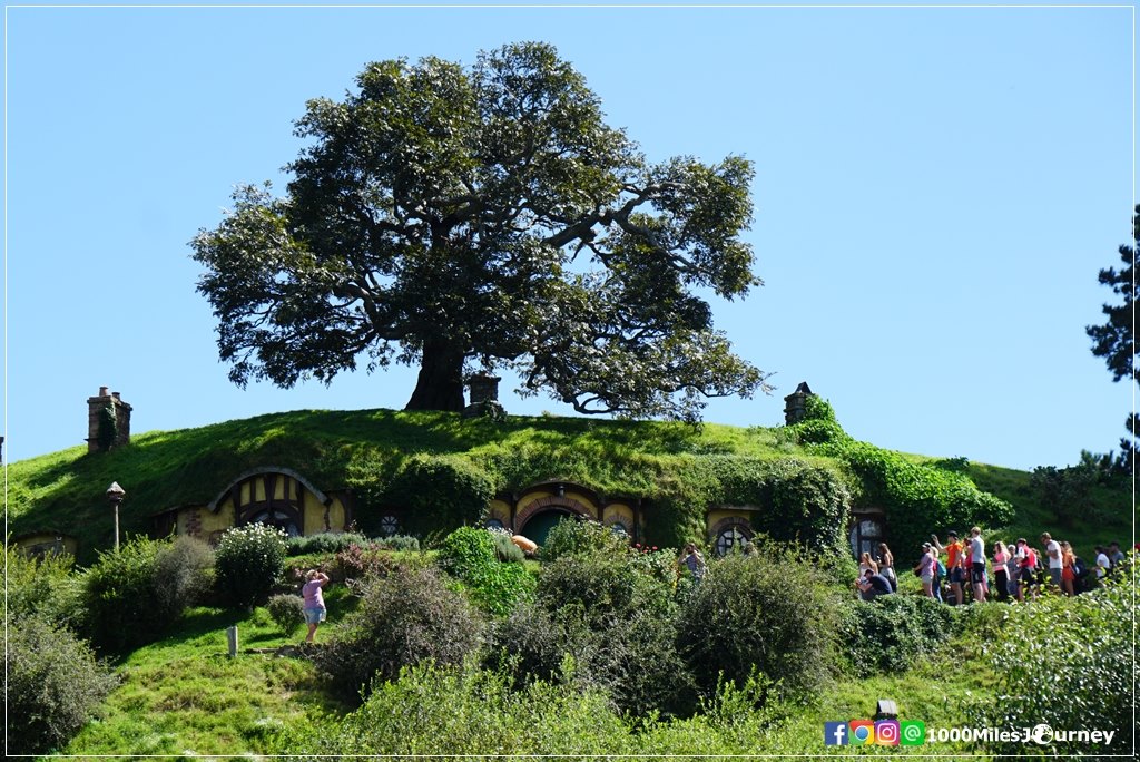 Hobbiton Movie Set @ New Zealand