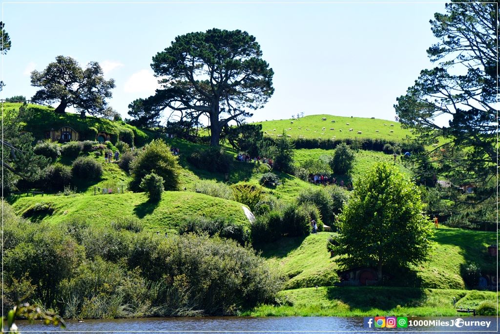 Hobbiton Movie Set @ New Zealand